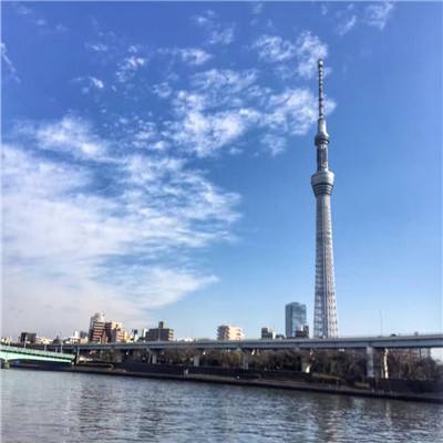 组建篮球梦之队游戏下载